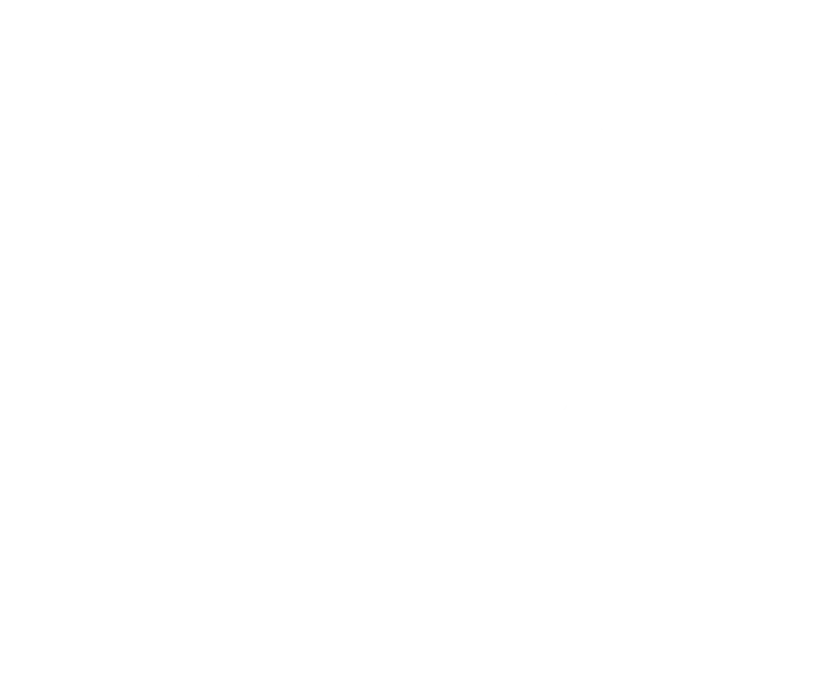Veritty